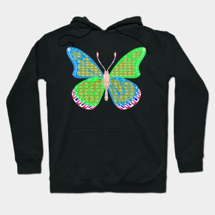 ecopop butterfly in mexican totonac patterns art Hoodie